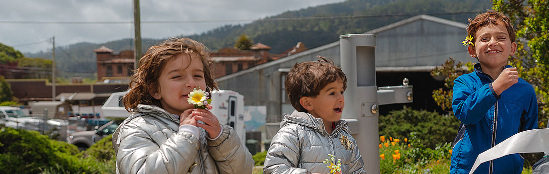 Three childen happily holding wildflowers in the park. One smiling boy has a flower tucked behind his ear.