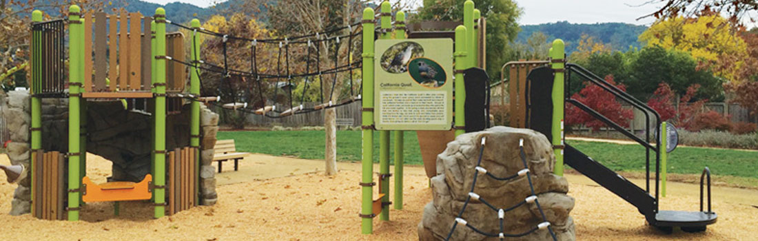 Green and brown play structure.