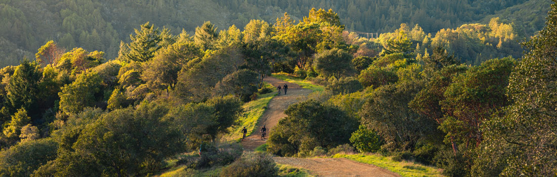 Hiker and bikers on a forest trail in Blithedale Summit Preserve
