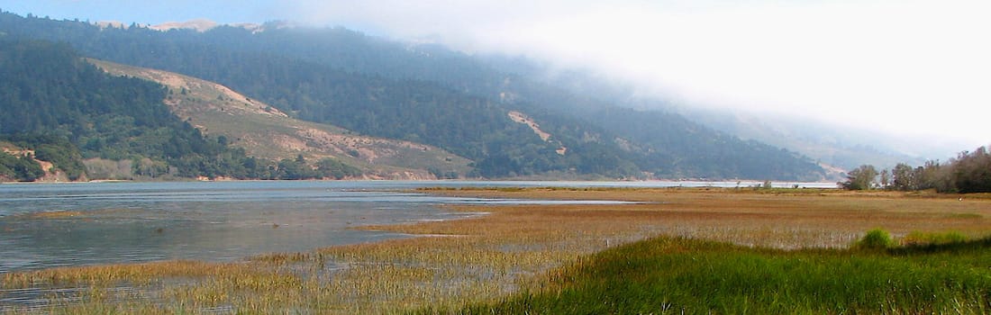 Scenic view across the water from the shore of Bolinas Lagoon