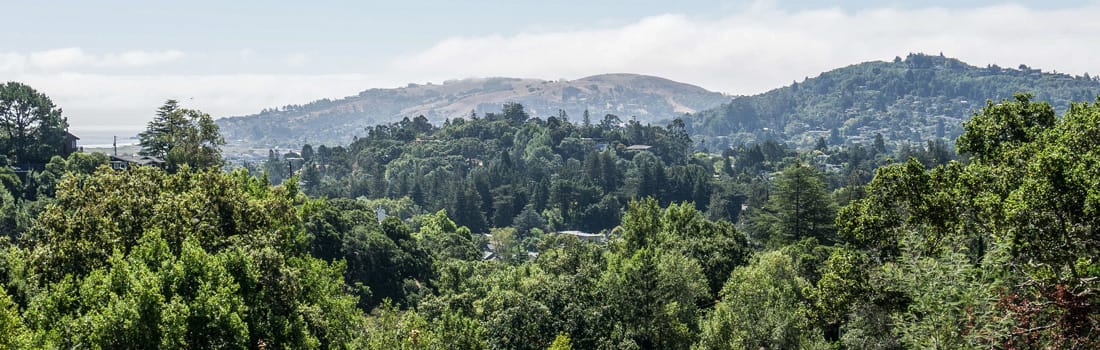 Forested hills of King Mountain Preserve