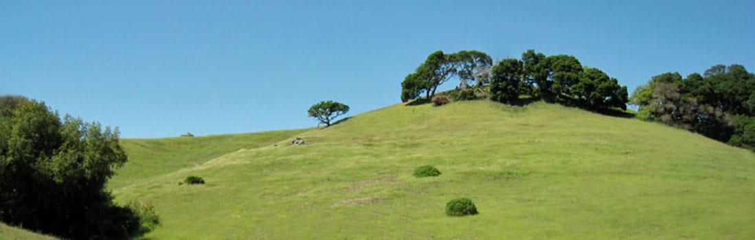 Oak-dotted hills of Little Mountain Preserve