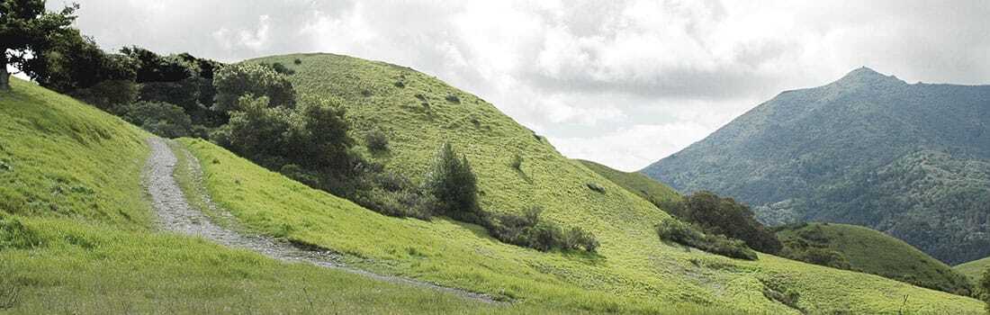 An empty path winds past Bald Hill on an overcast day in Bald Hill Preserve.